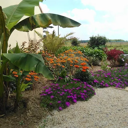 Séjour chez l'habitant L'ecume De Jade *